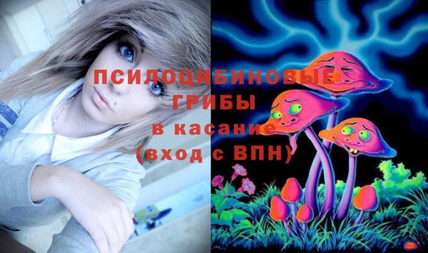 ешки Мегион