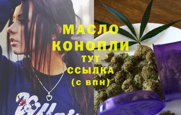 тгк Медногорск