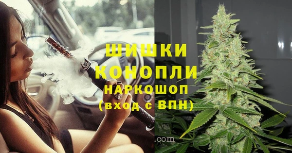 тгк Медногорск