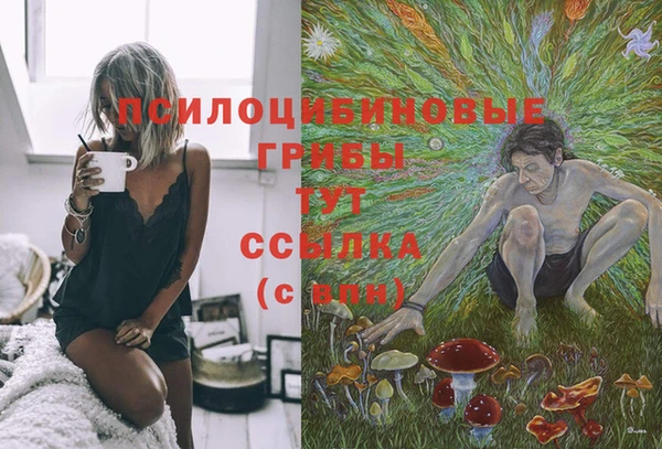 ешки Мегион