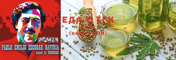 тгк Медногорск