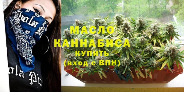 тгк Медногорск