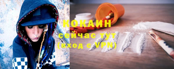ешки Мегион