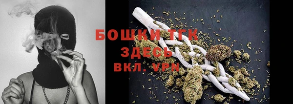 тгк Медногорск