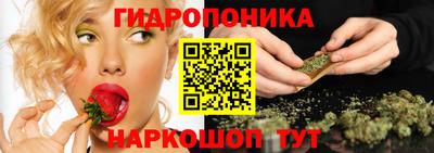 тгк Пенза