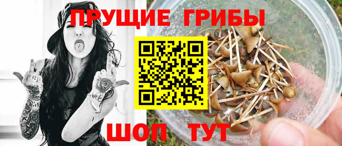Галлюциногенные грибы Magic Shrooms Томск